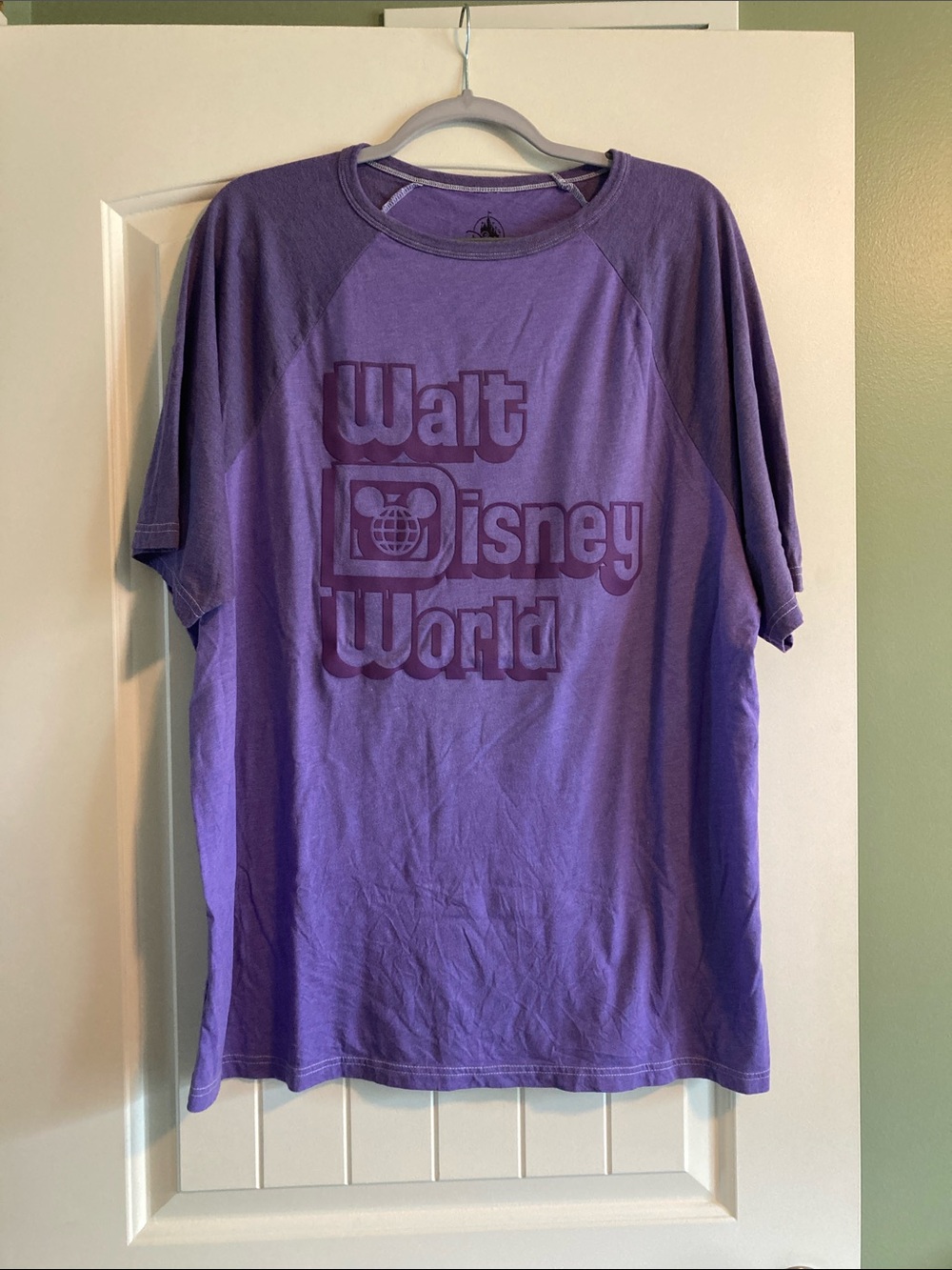 Disney Purple Walt Disney World Graphic Short Sleeve Tee